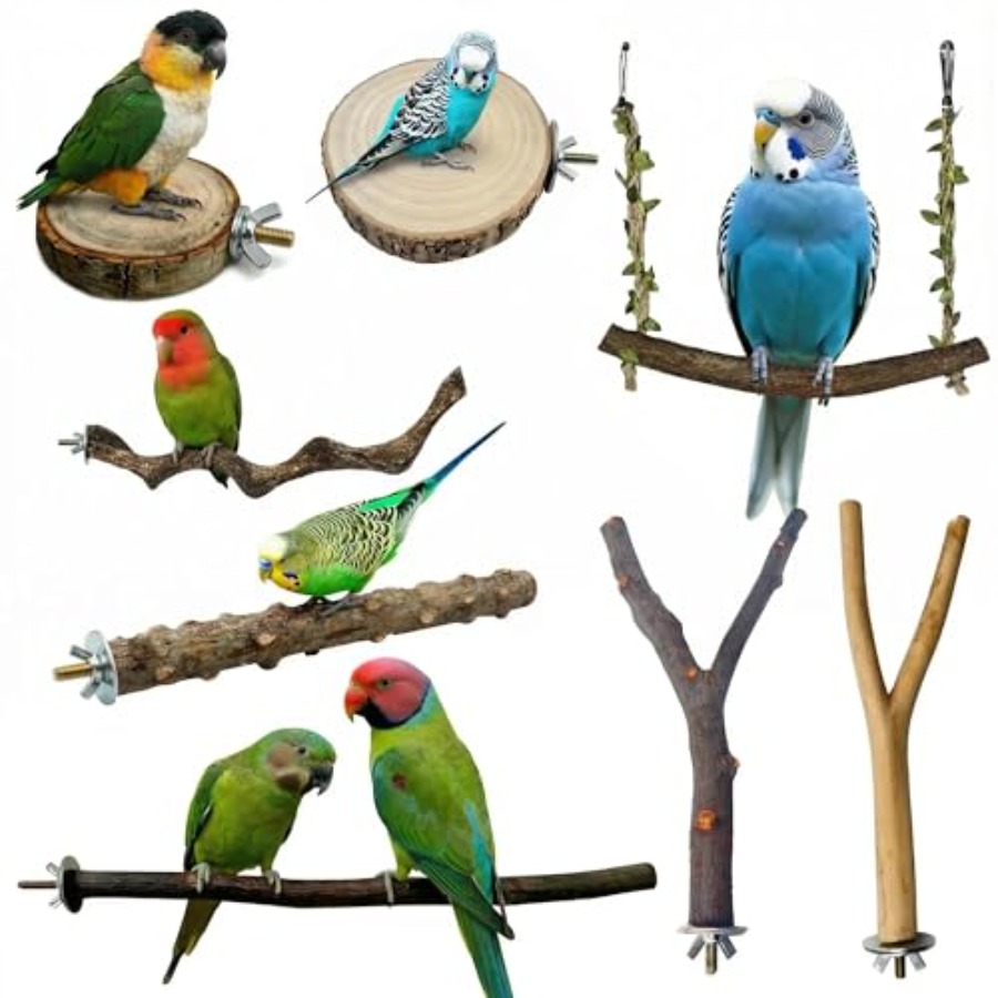 Health & Wellness Unit - 8PCS tempat bertengger burung dari kayu