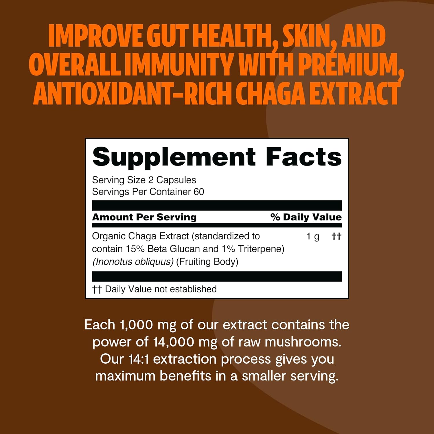 Kapsul Jamur Chaga - Antioksid - Health & Wellness Unit ulasan dan harga