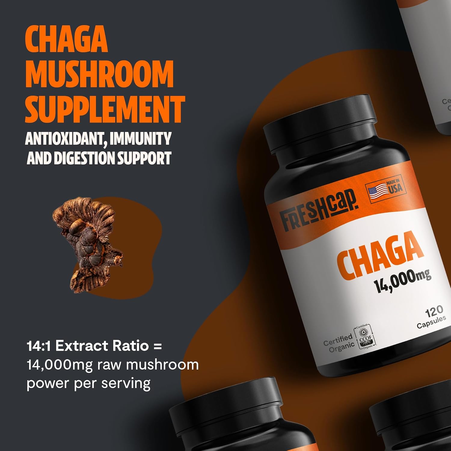 Kapsul Jamur Chaga - Antioksid - Health & Wellness Unit ulasan dan harga
