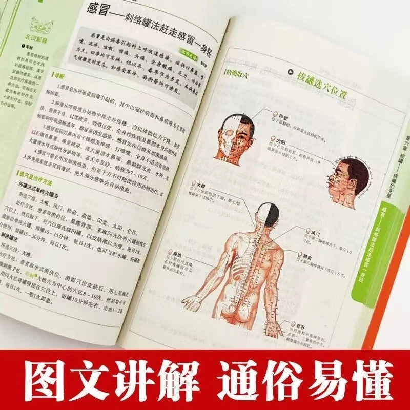 Seri Kesehatan & Kesejahteraan - Health Wellness Guide ulasan dan harga