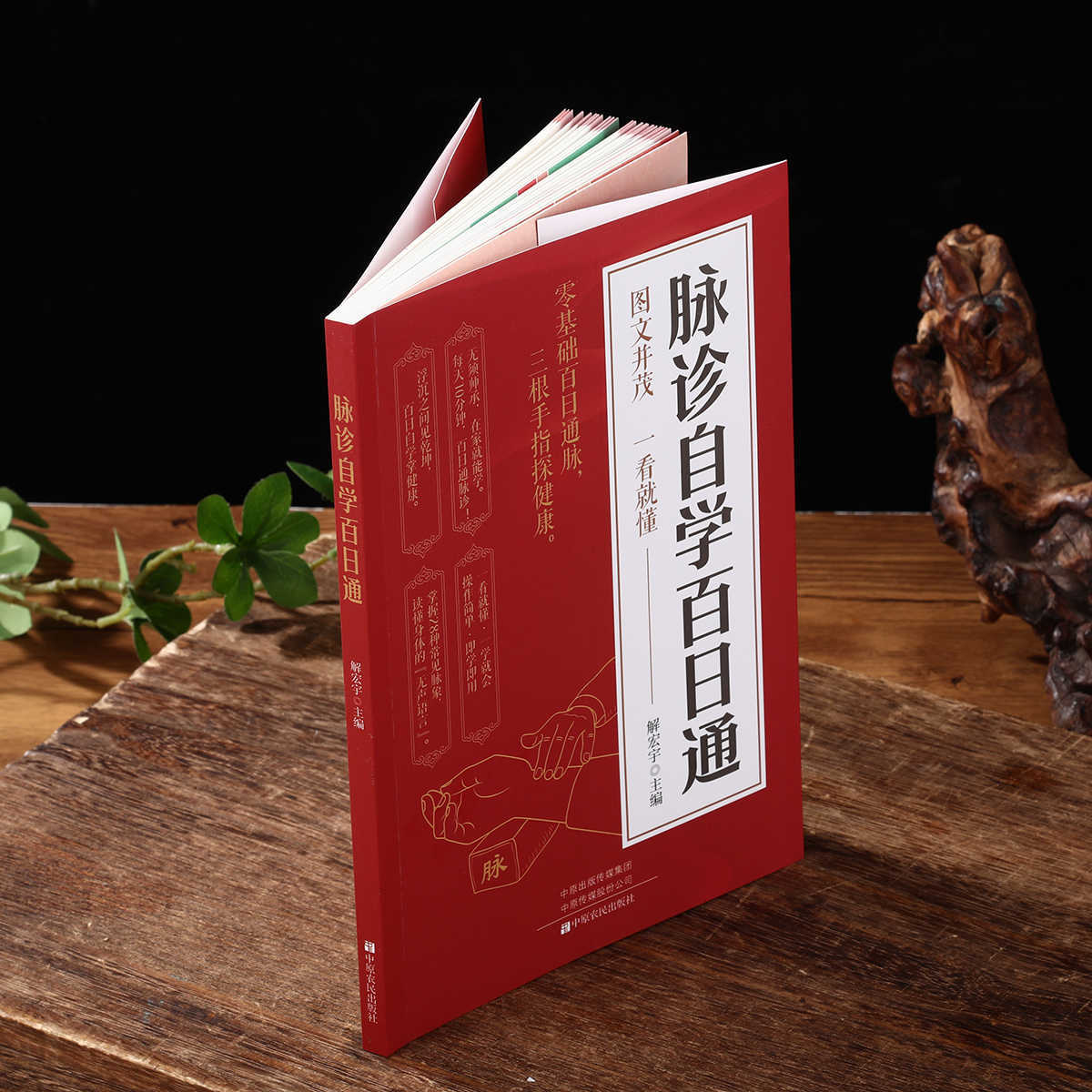Buku Kesehatan Belajar Mandiri - Health & Wellness Unit ulasan dan harga